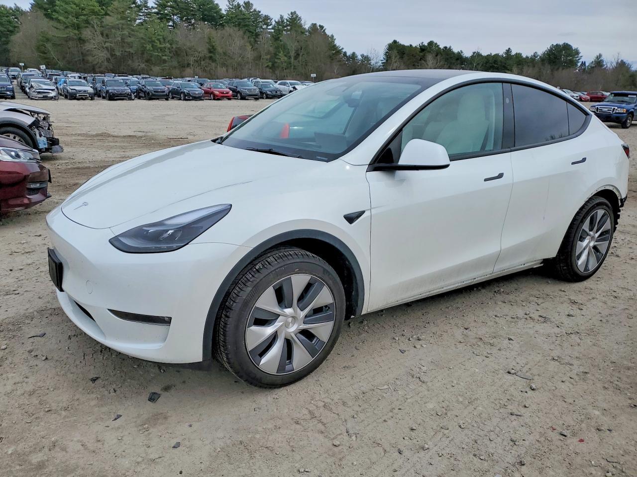 2023 Tesla Model Y - zdjęcie główne