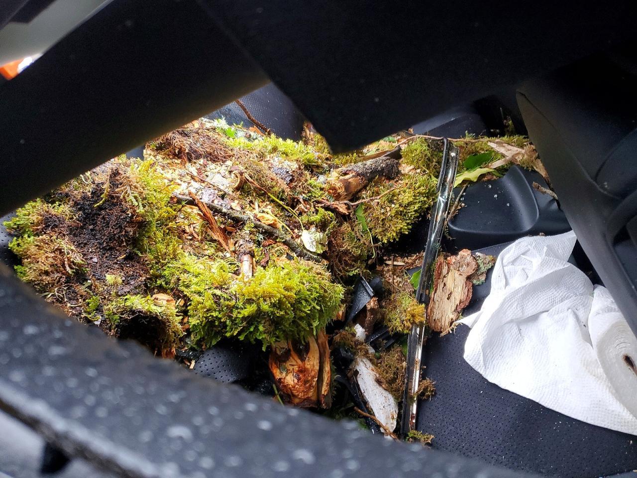 2025 Toyota Gr86 Premium - zdjęcie 10