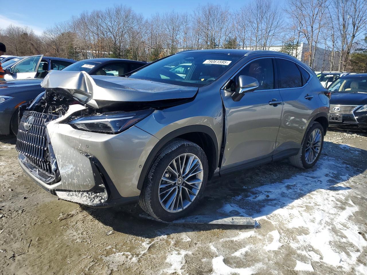 2026 Lexus Nx 350H Luxury - zdjęcie główne