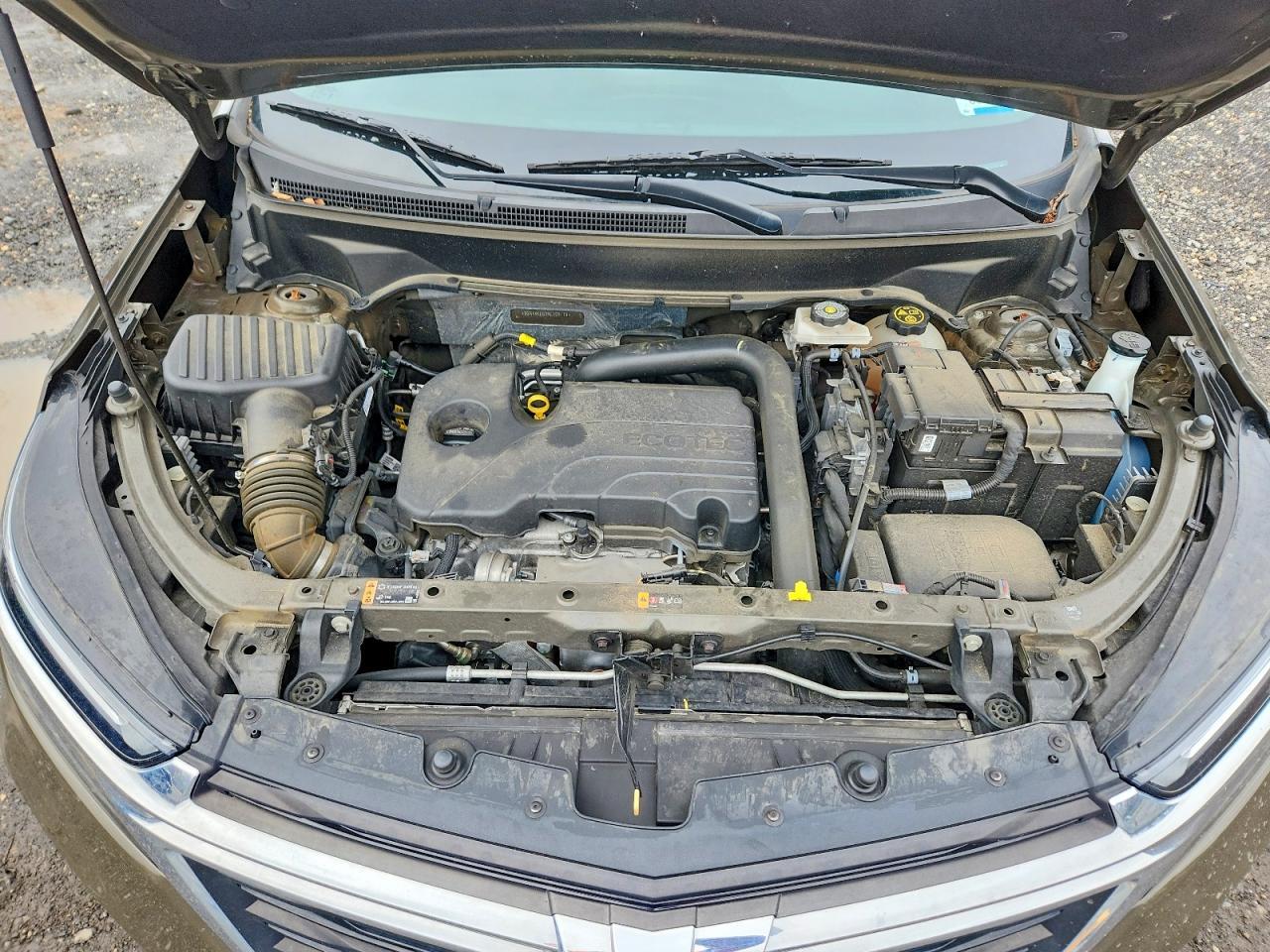 2024 Chevrolet Equinox Lt - zdjęcie 12