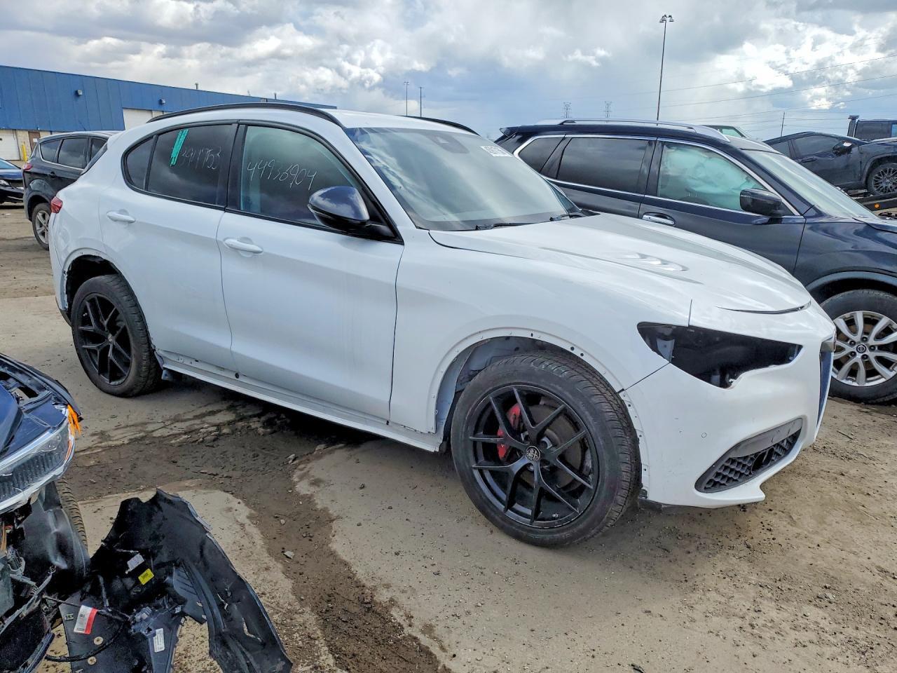 2019 Alfa Romeo Stelvio - zdjęcie 4