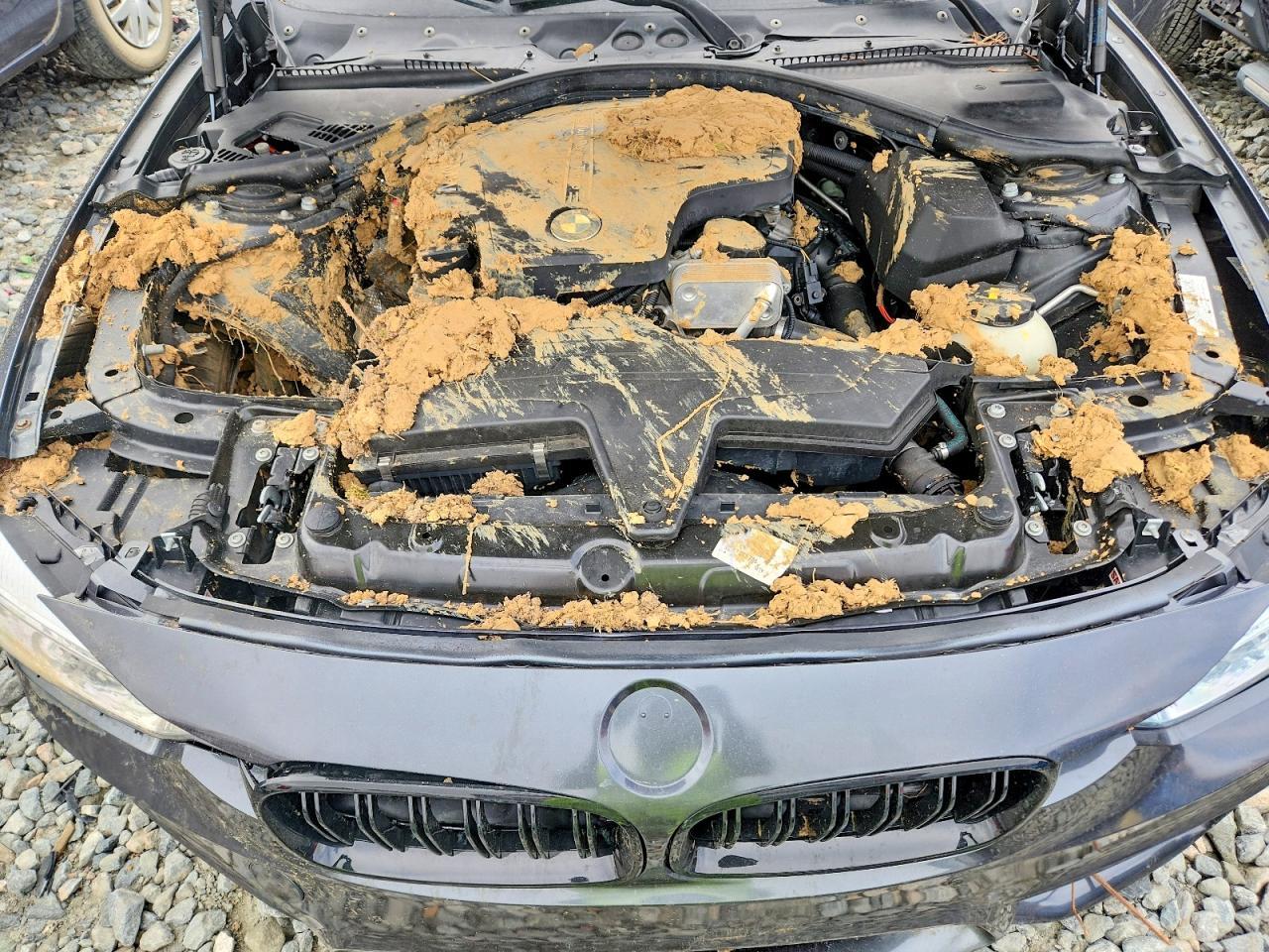 2014 BMW 320 I - zdjęcie 11