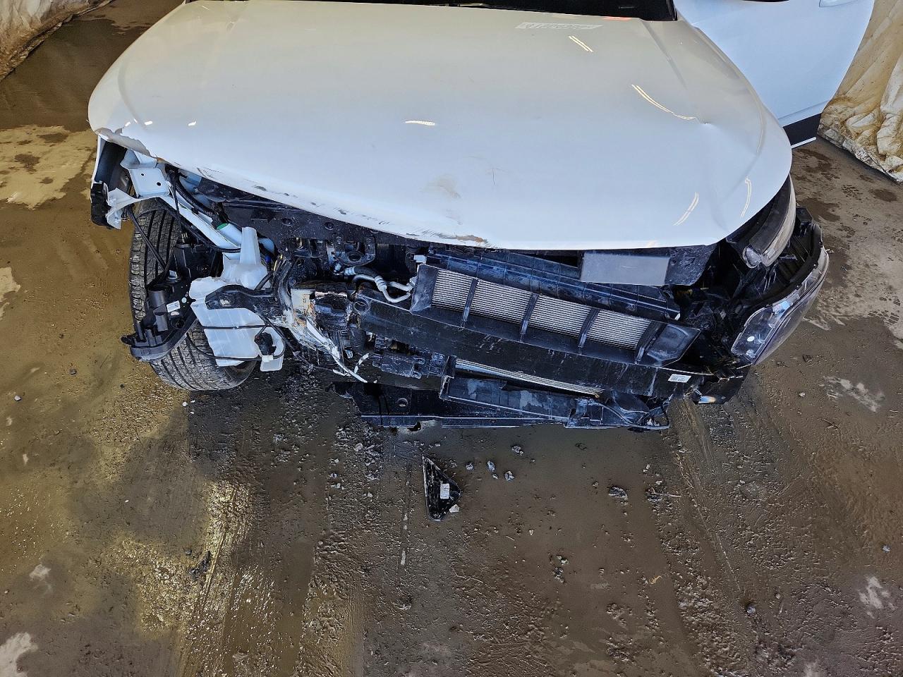 2024 Hyundai Venue Limited - zdjęcie 12