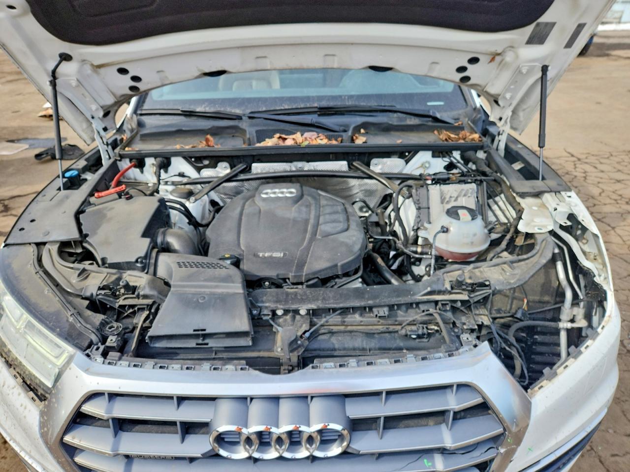 2018 Audi Q5 Premium Plus - zdjęcie 12