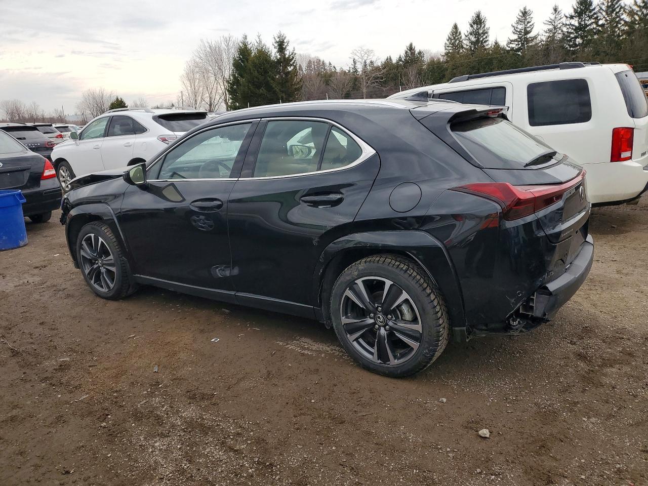 2025 Lexus Ux 300H Base - zdjęcie 2