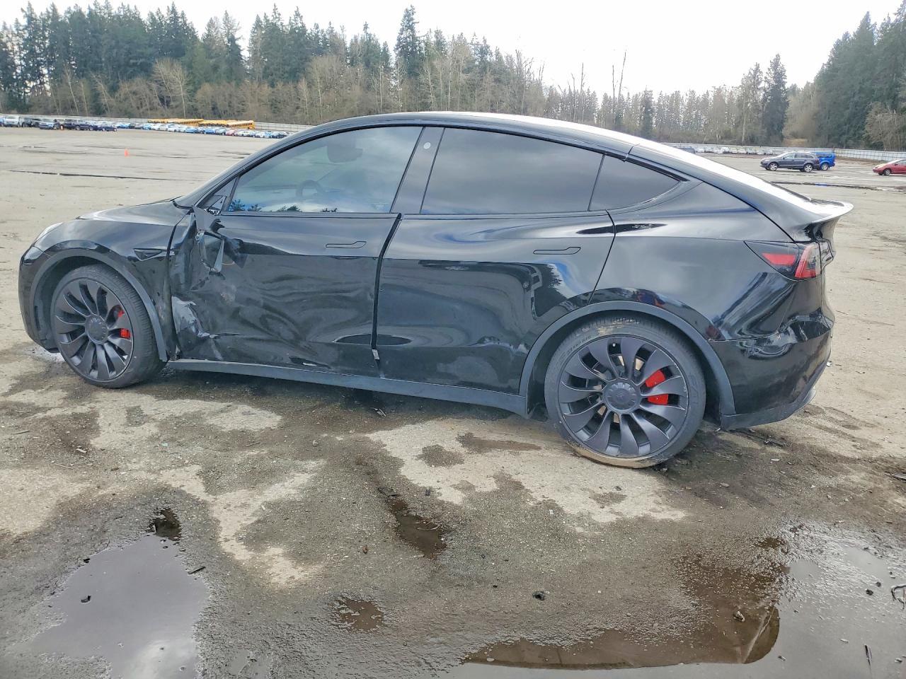 2023 Tesla Model Y - zdjęcie 2