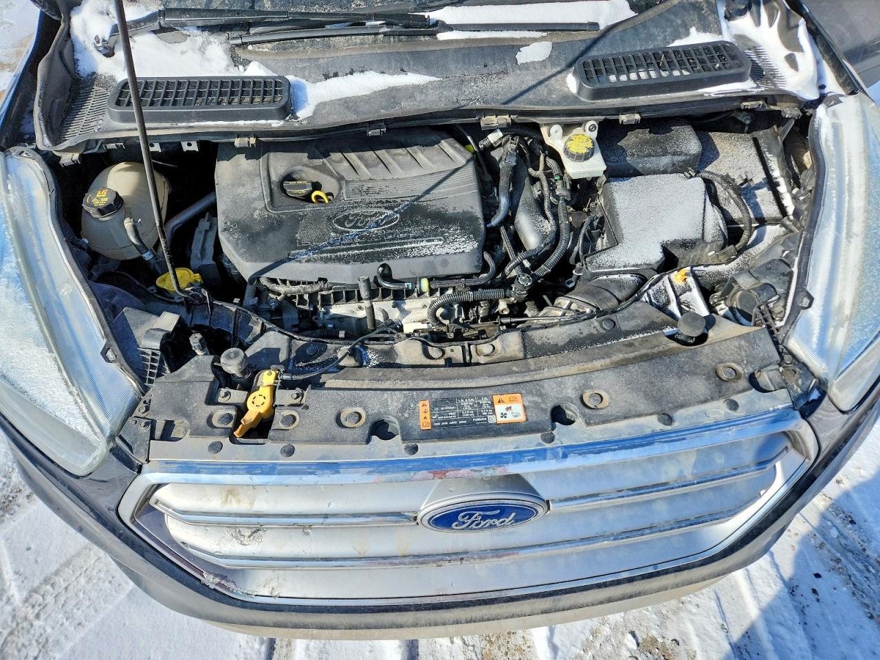 2017 Ford Escape Se - zdjęcie 12