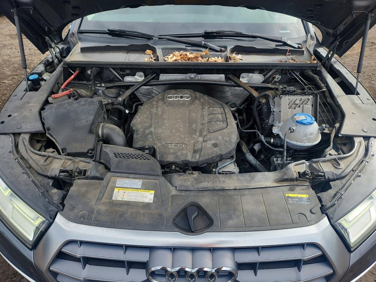 2019 Audi Q5 Premium Plus - zdjęcie 11