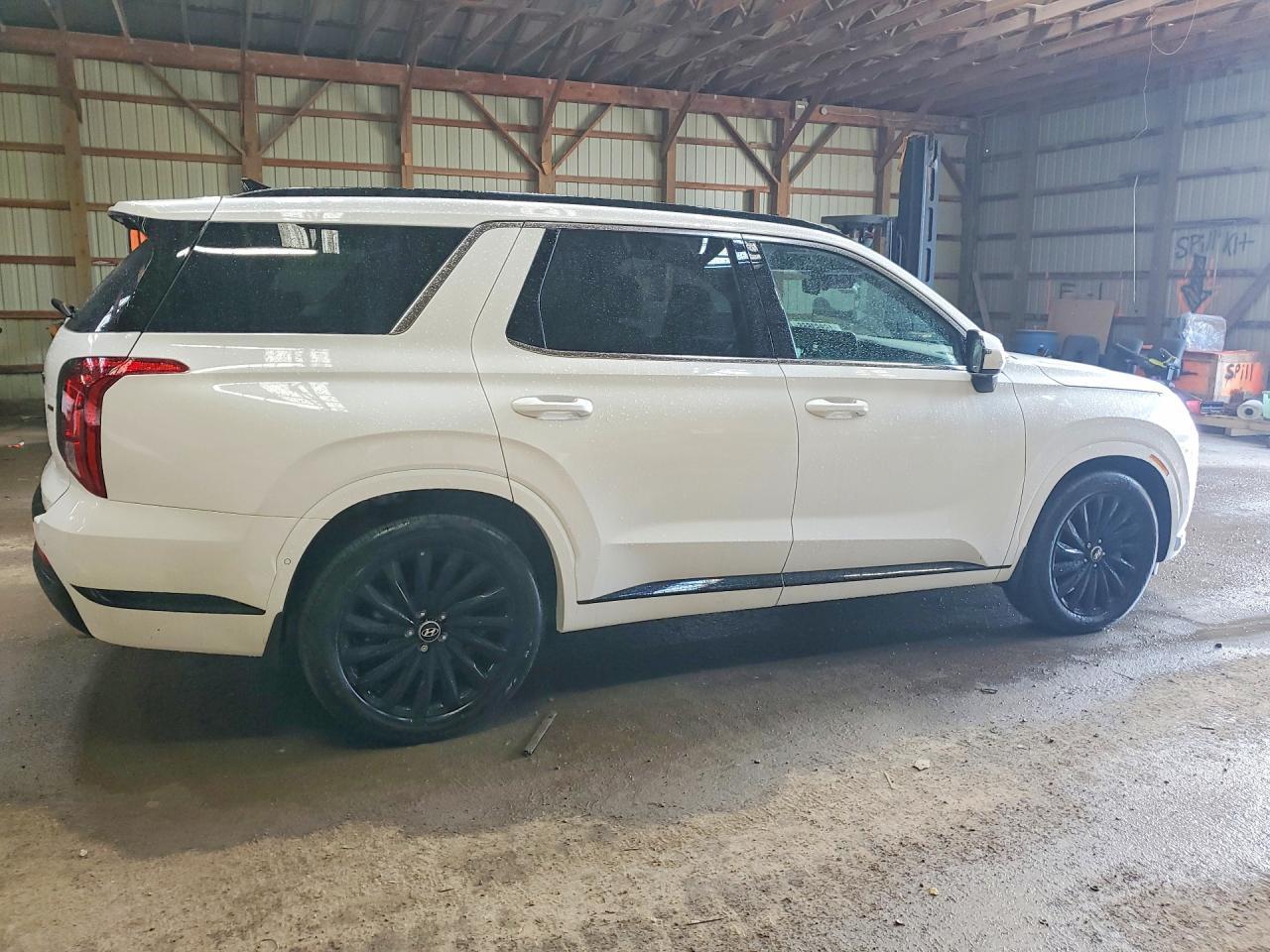 2025 Hyundai Palisade Calligraphy Night Edition - zdjęcie 3