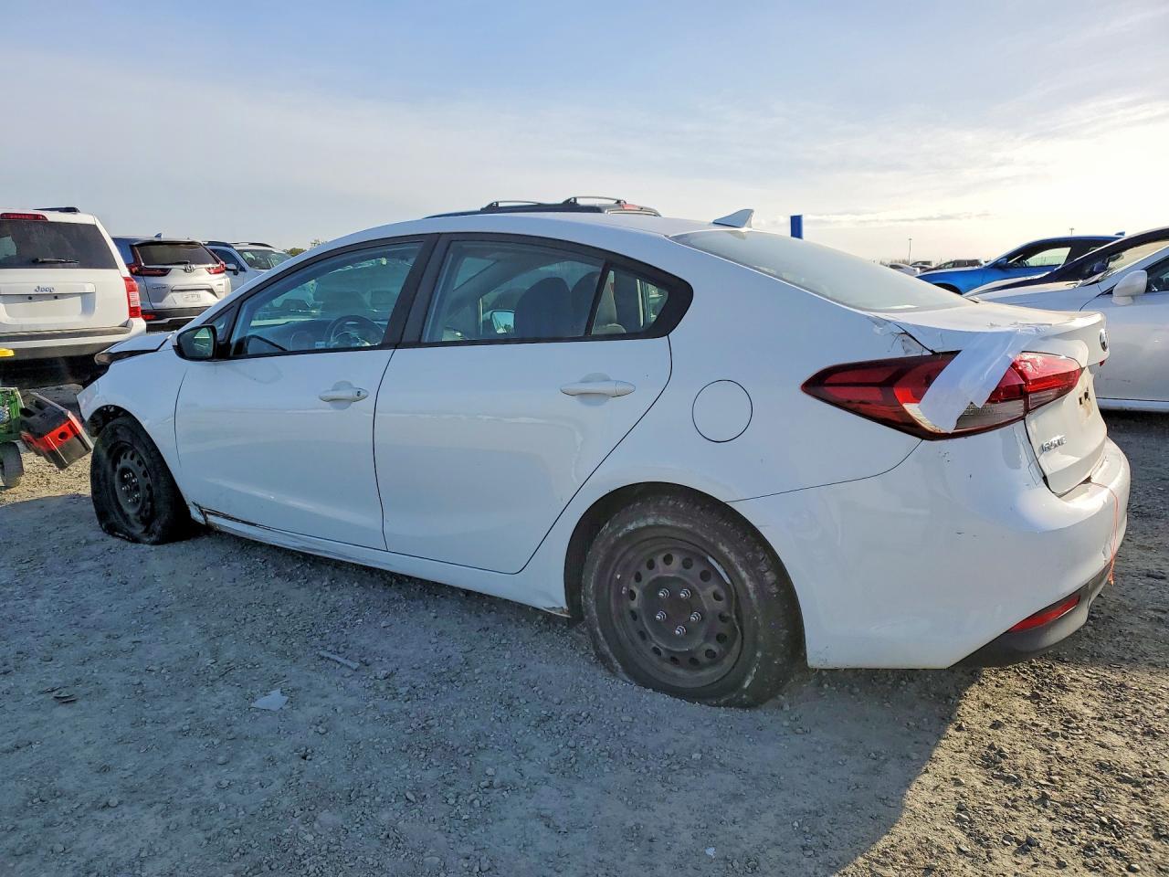 2018 Suba Forte - zdjęcie 2