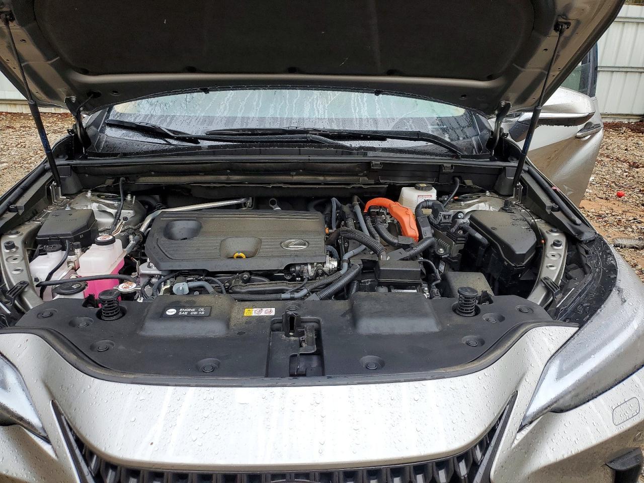 2024 Lexus Nx 350H Luxury - zdjęcie 12