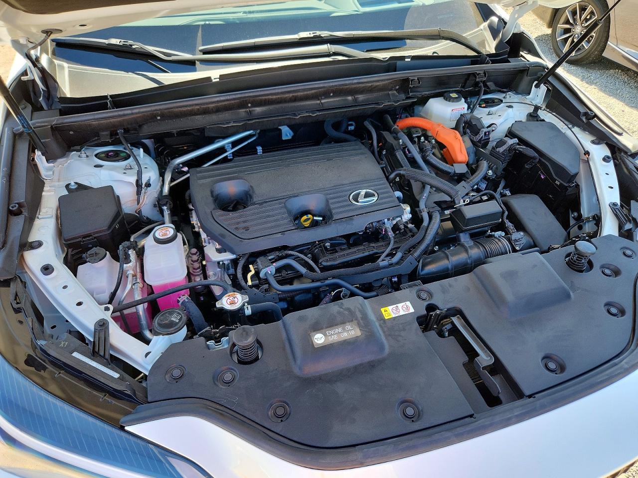 2024 Lexus Nx 350H Premium - zdjęcie 11