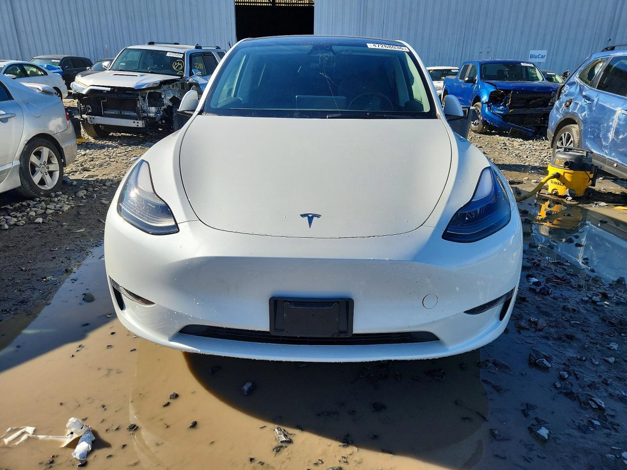 2023 Tesla Model Y - zdjęcie 5