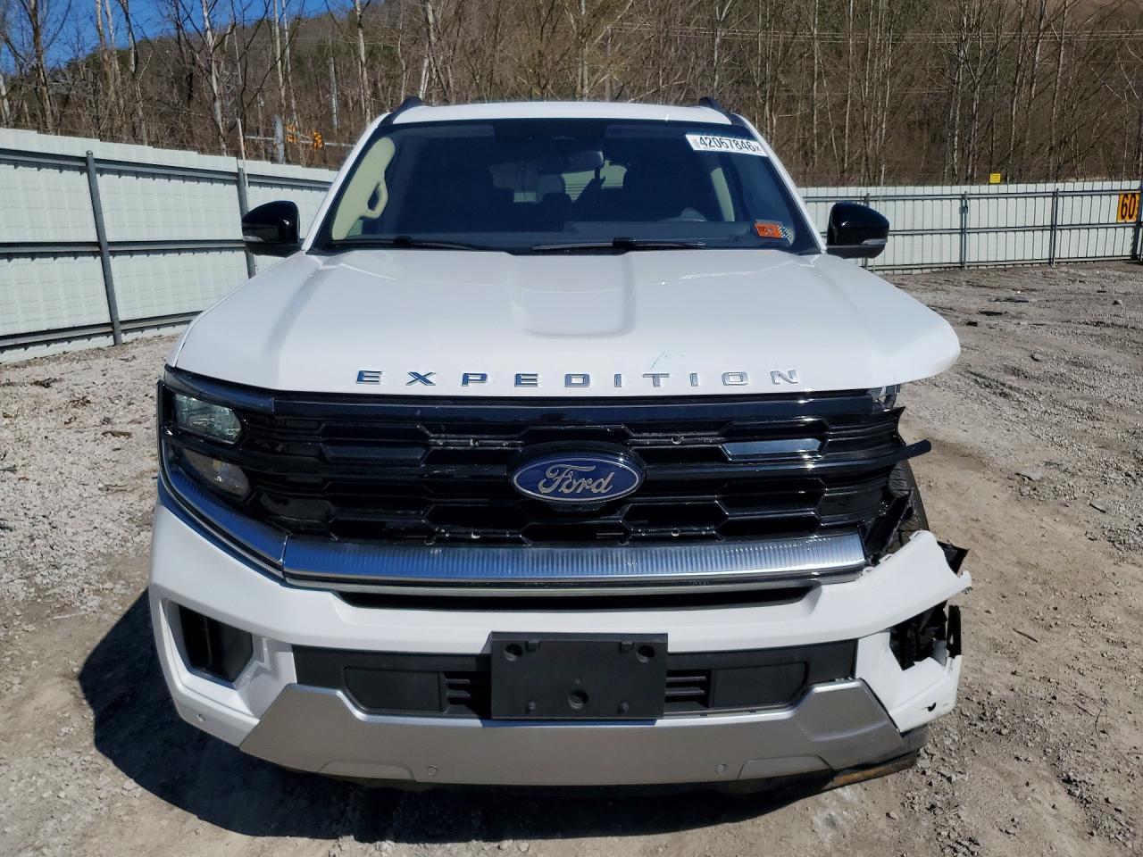 2025 Ford Expedition Platinum - zdjęcie 5