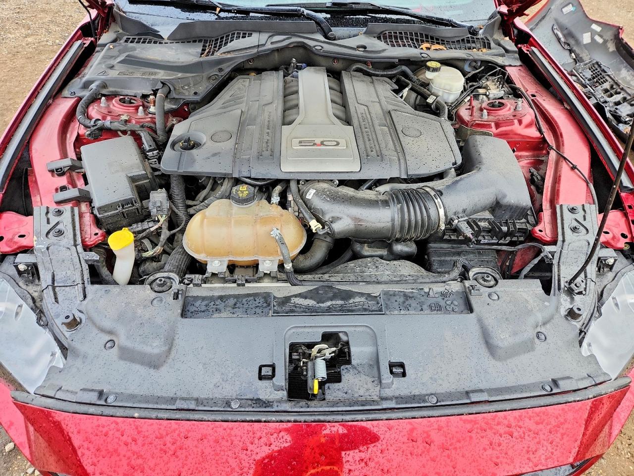 2019 Ford Mustang Gt - zdjęcie 11