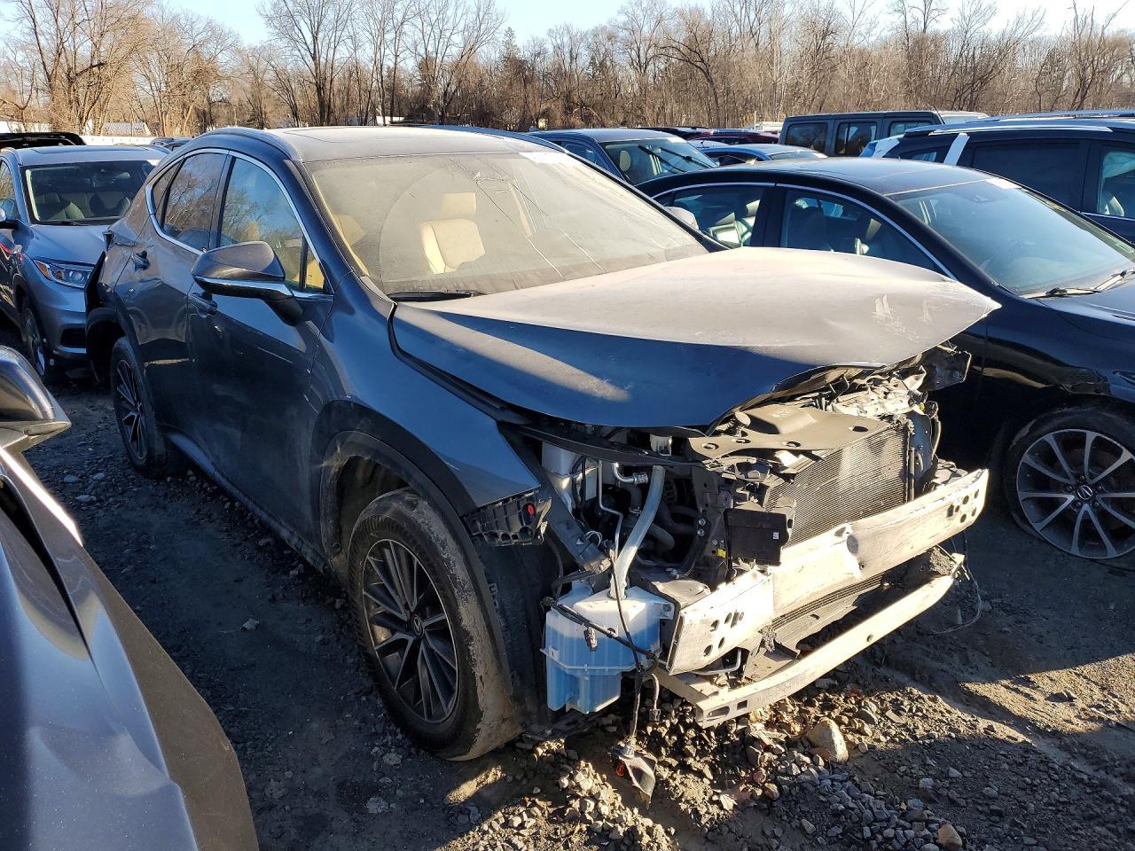 2024 Lexus Nx 350 Base - zdjęcie 4