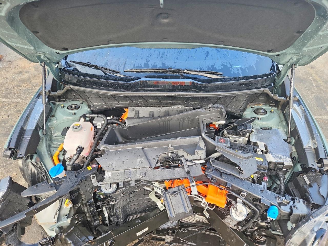 2025 Kia Niro Ev Wave - zdjęcie 11