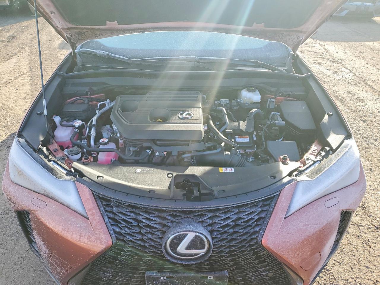 2025 Lexus Ux 300H Base - zdjęcie 12