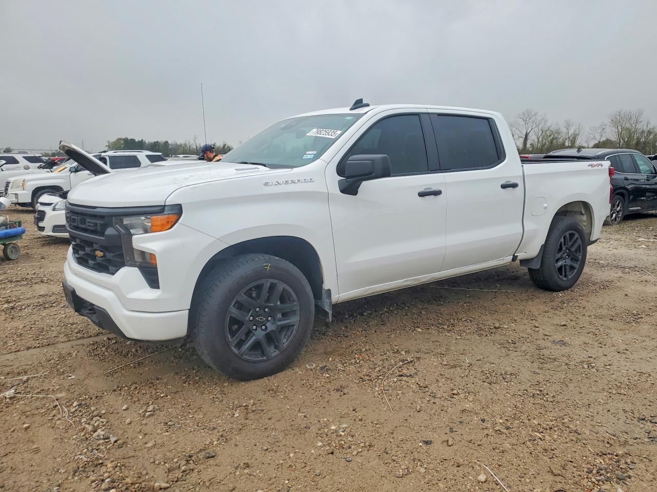2024 Chevrolet Silverado K1500 Custom - zdjęcie główne