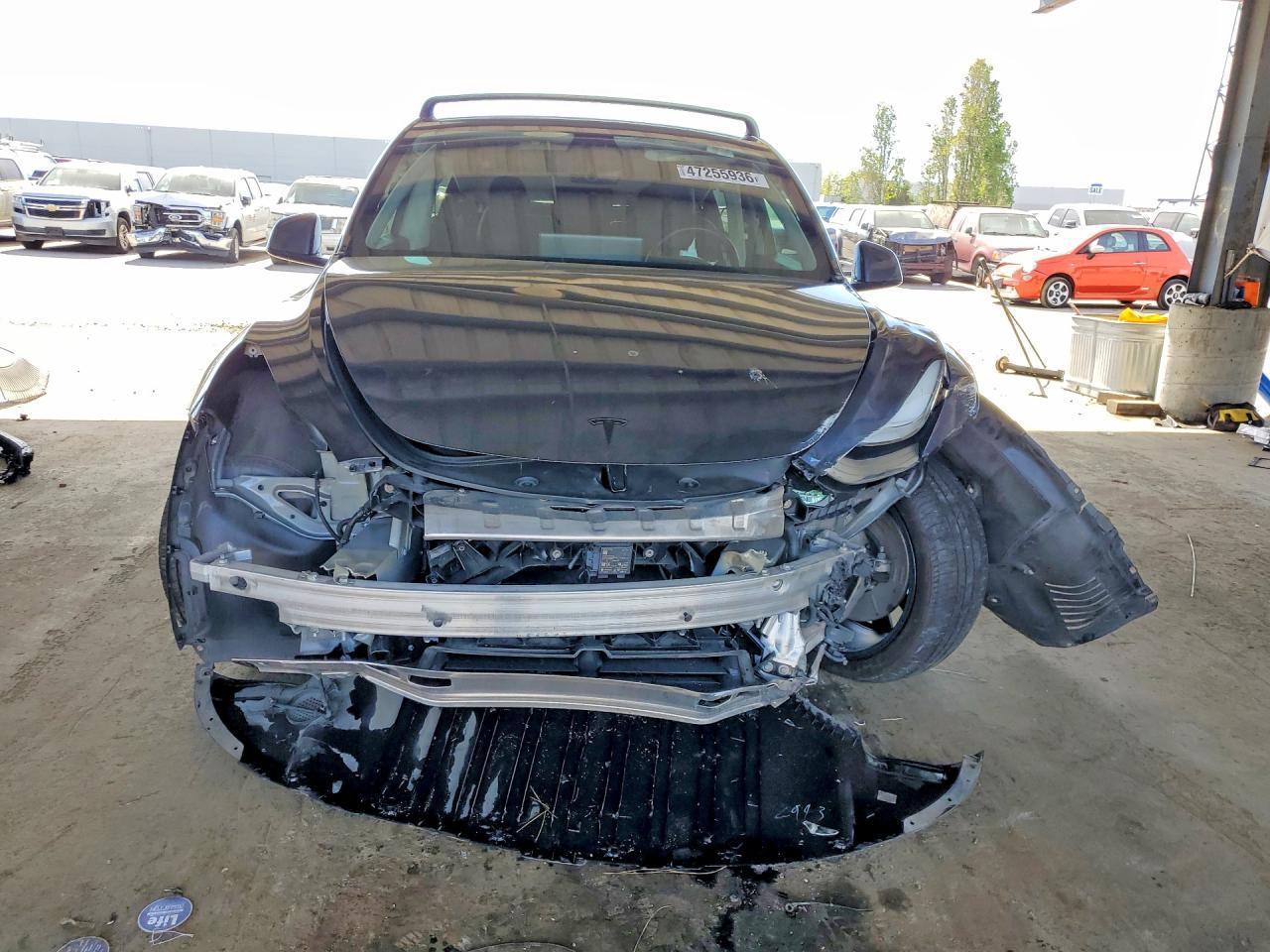 2020 Tesla Model Y - zdjęcie 5