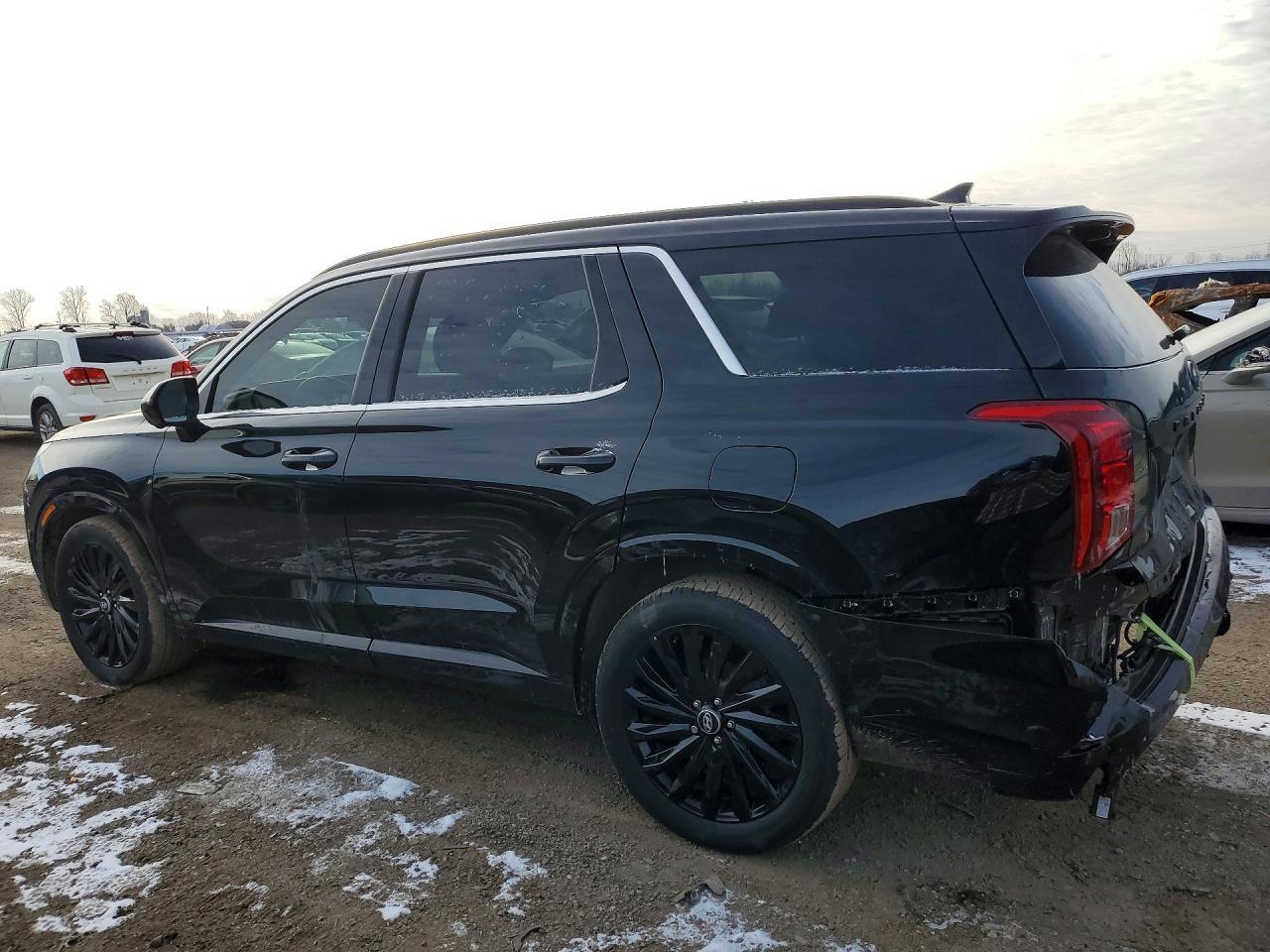 2025 Hyundai Palisade Limited - zdjęcie 2