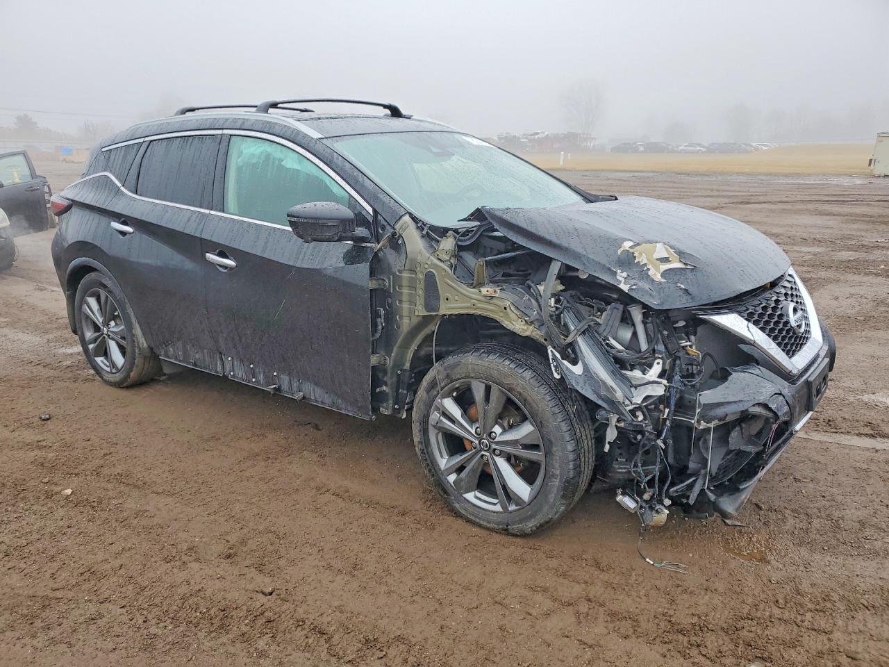 2019 Niss Murano Platinum - zdjęcie 4