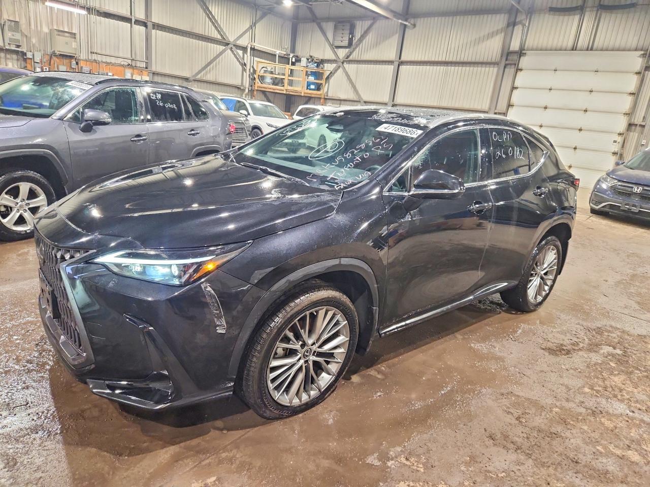 2023 Lexus Nx 350 Premium - zdjęcie główne