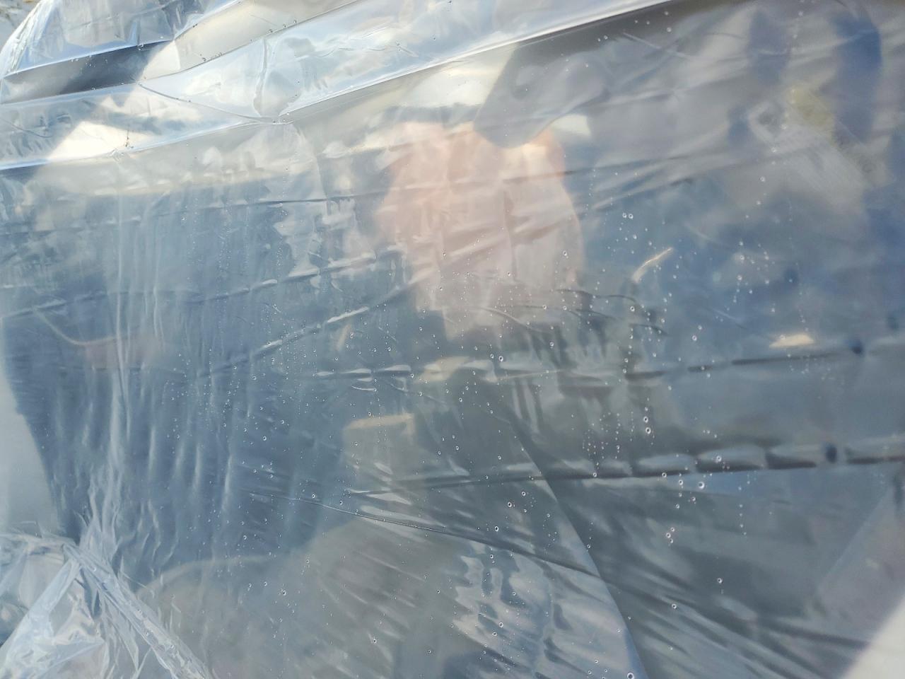 2022 Honda Cr-V Exl - zdjęcie 8