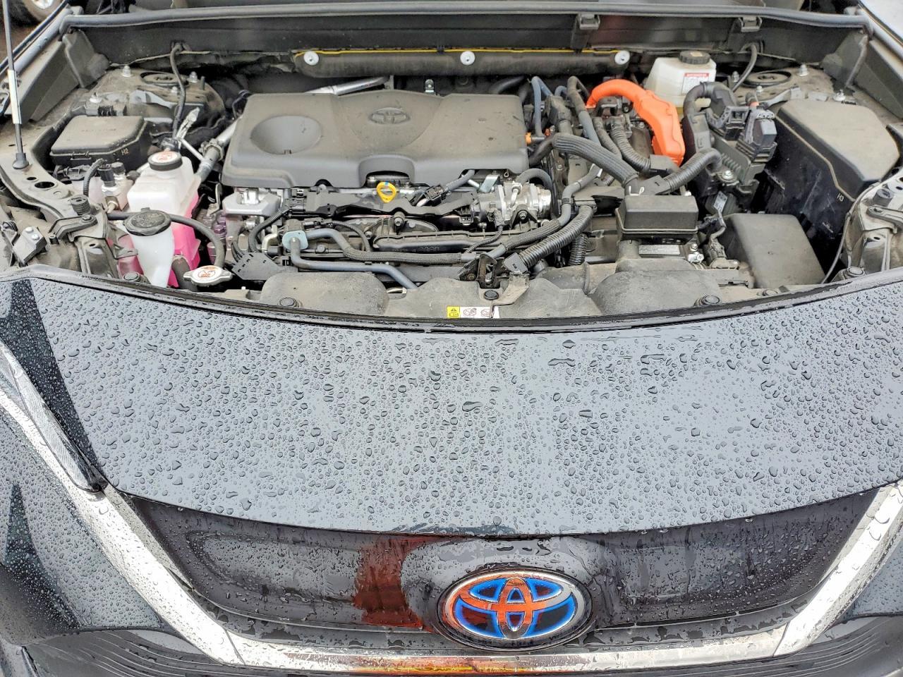 2024 Toyota Venza Nightshade Edition - zdjęcie 11