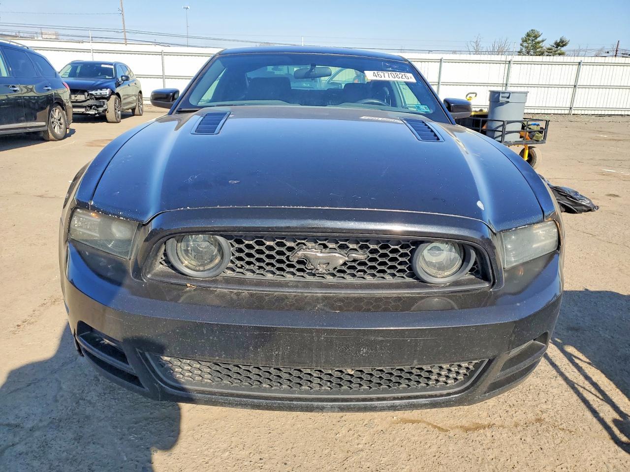 2014 Ford Mustang Gt - zdjęcie 5