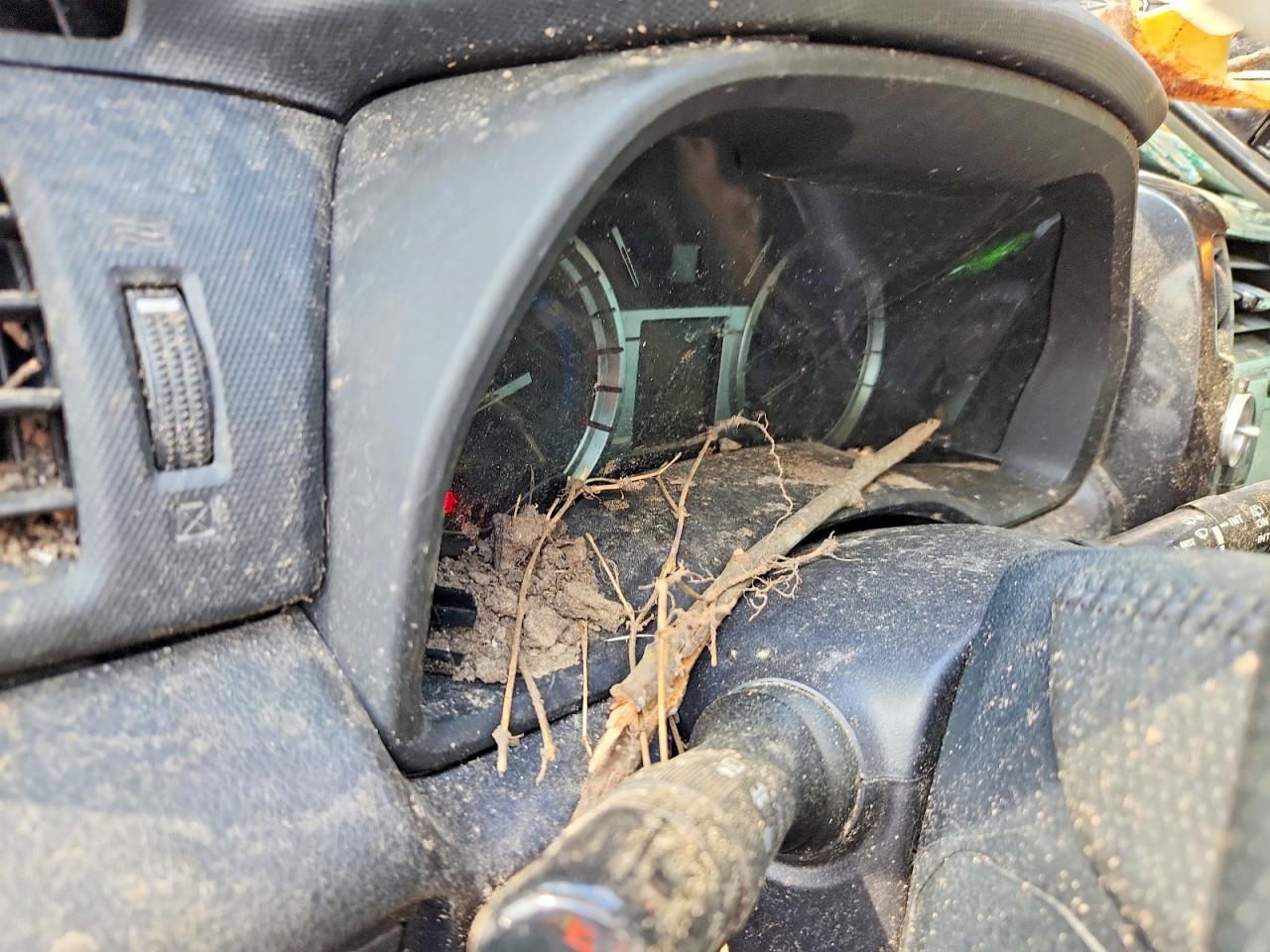 2016 Toyota 4Runner Trail Premium - zdjęcie 9