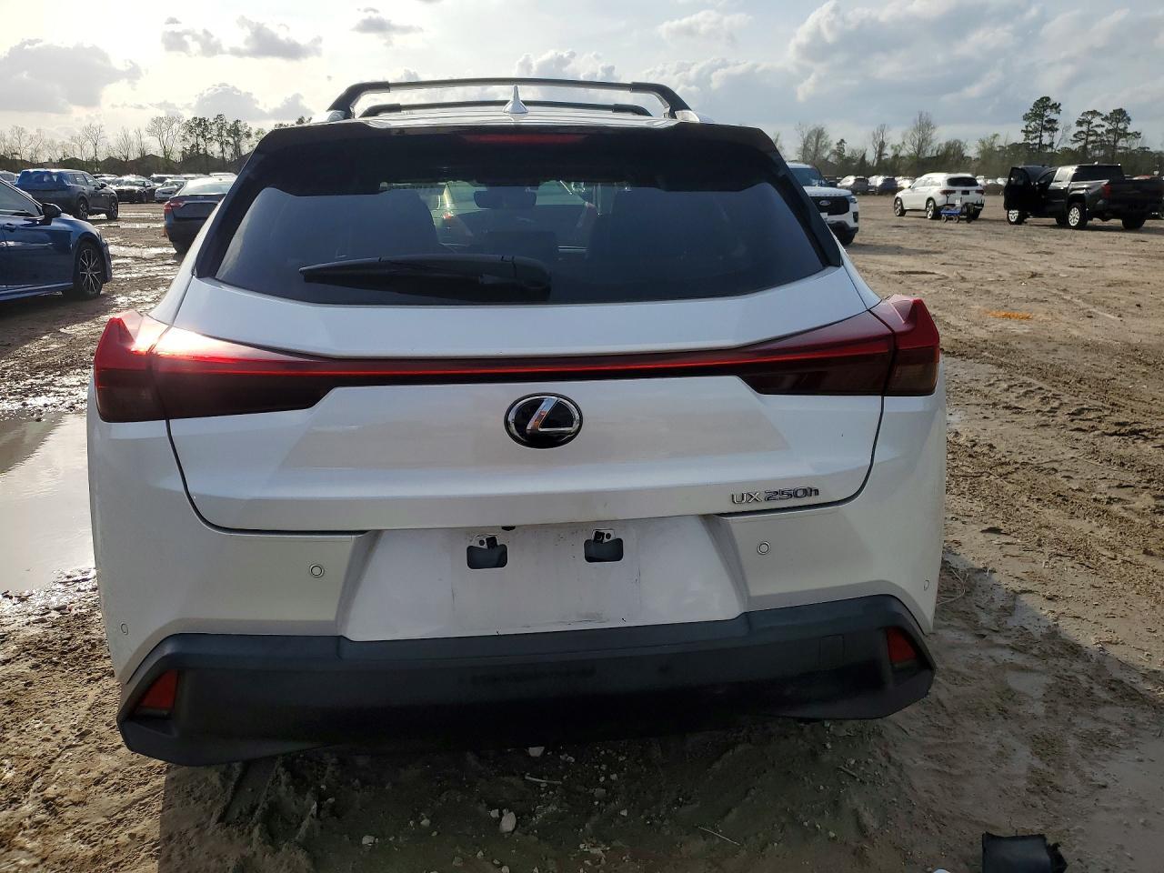 2021 Lexus Ux 250H Base - zdjęcie 6