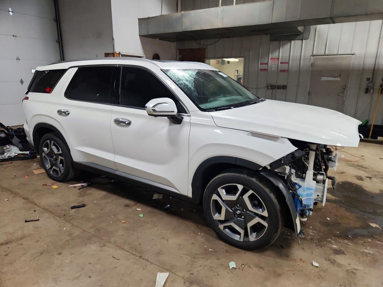 2024 Hyundai Palisade Limited - zdjęcie 4