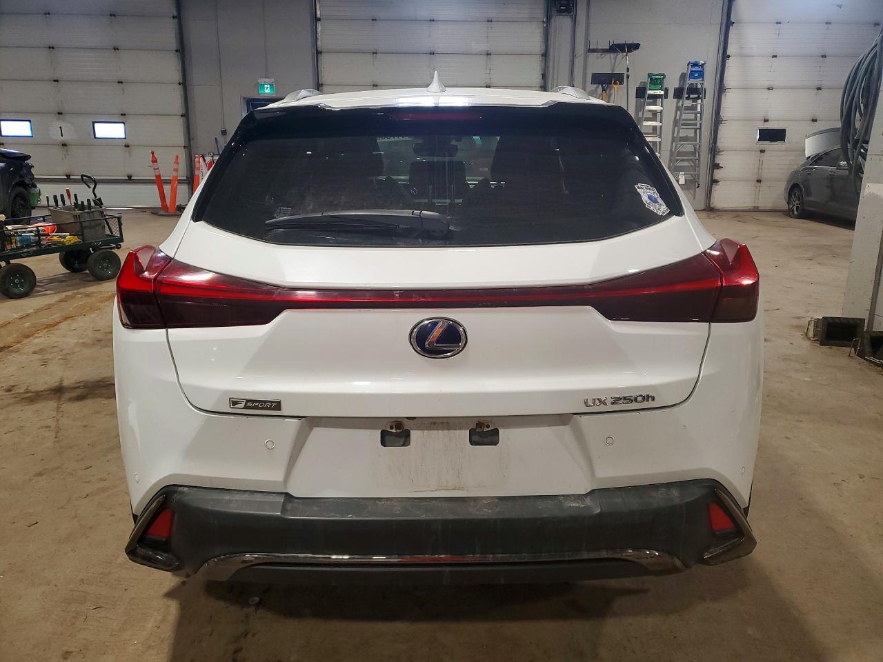 2020 Lexus Ux 250H F Sport - zdjęcie 6