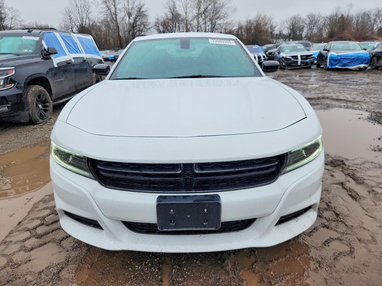2023 Dodge Charger Sxt - zdjęcie 5