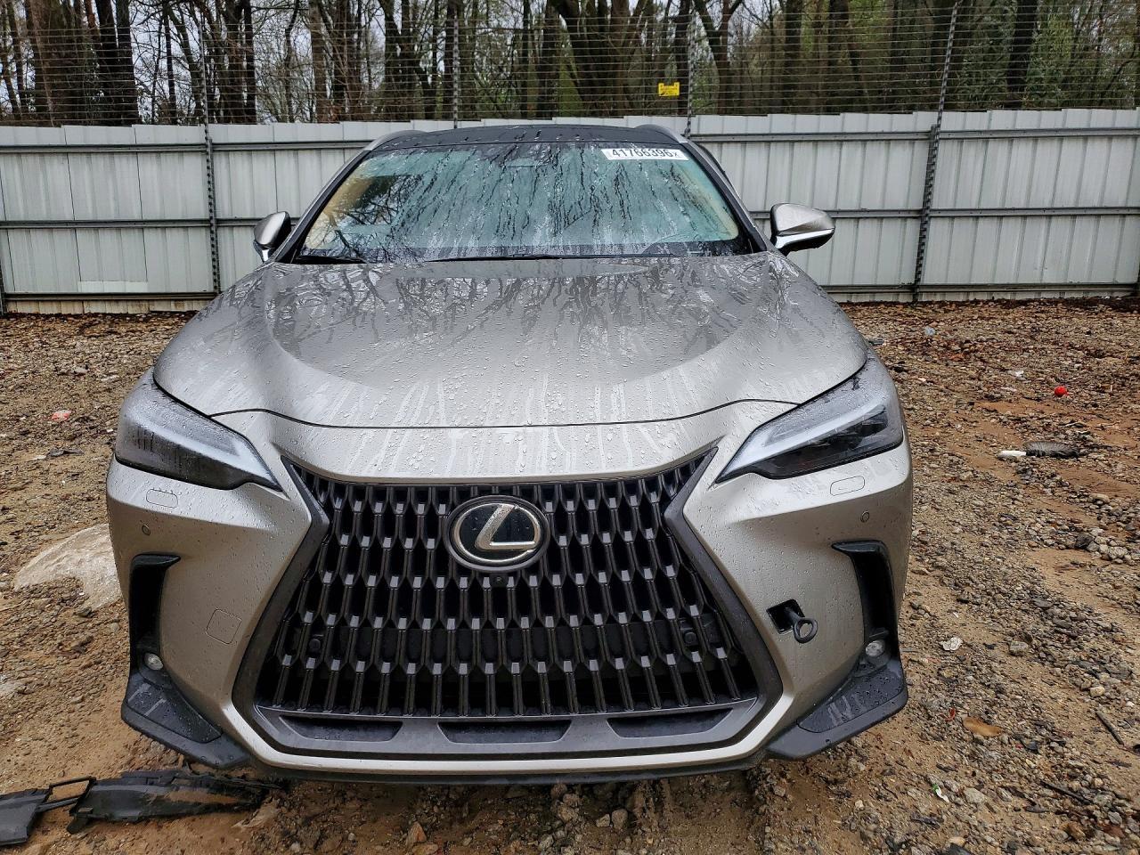 2024 Lexus Nx 350H Luxury - zdjęcie 5