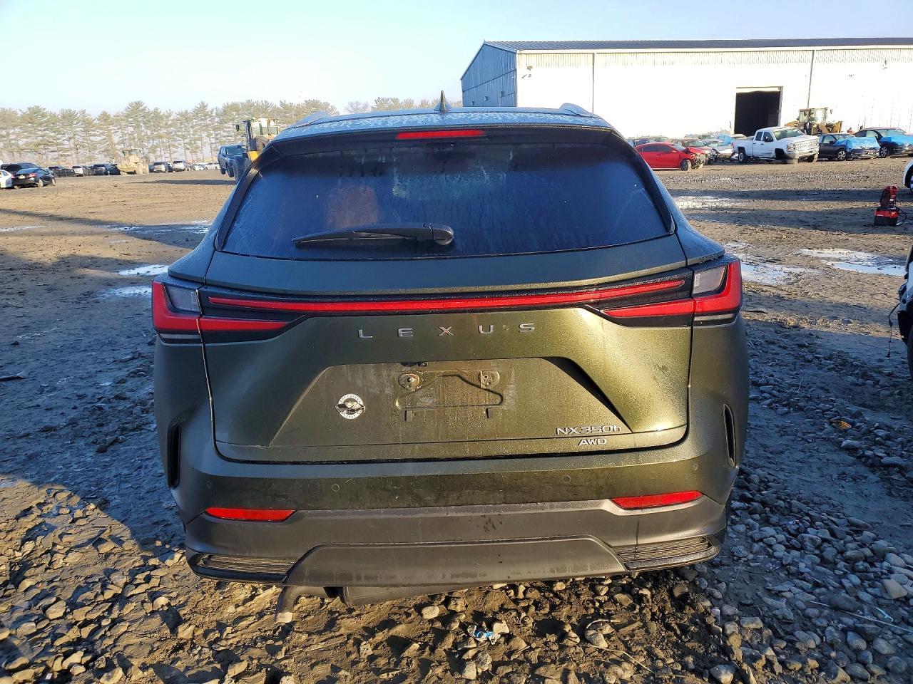 2026 Lexus Nx 350H Premium - zdjęcie 6