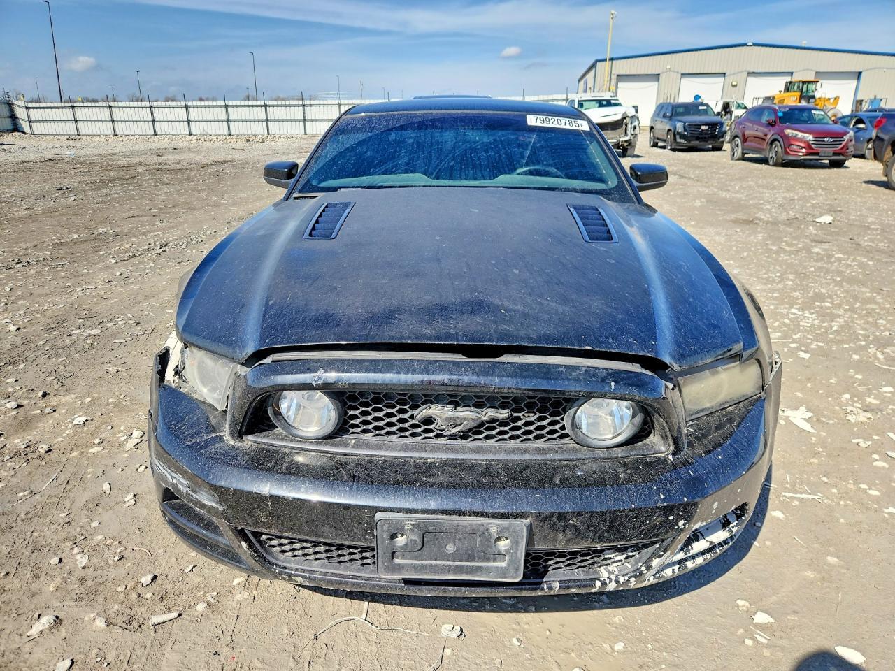 2013 Ford Mustang Gt - zdjęcie 5