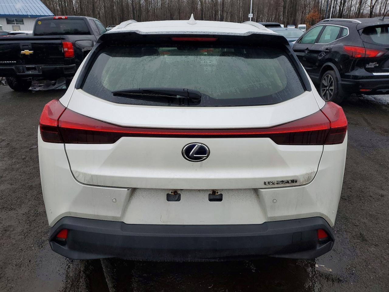 2020 Lexus Ux 250H Base - zdjęcie 6