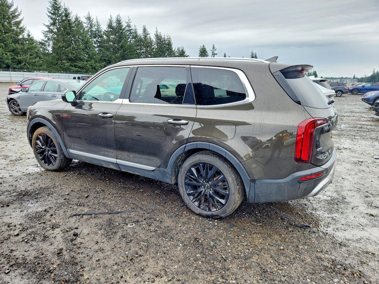 2020 Kia Telluride Sx - zdjęcie 2