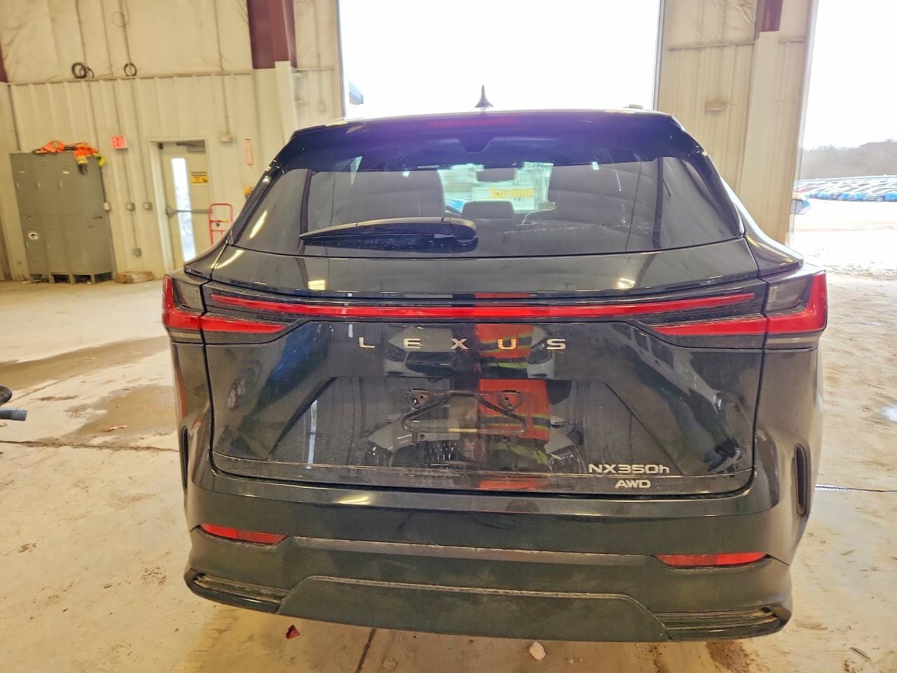 2024 Lexus Nx 350H Luxury - zdjęcie 6