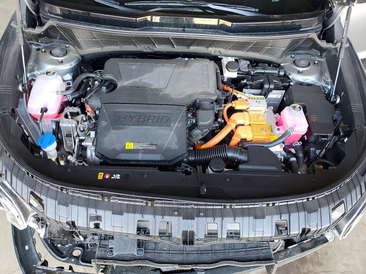 2025 Kia Niro Sx - zdjęcie 11