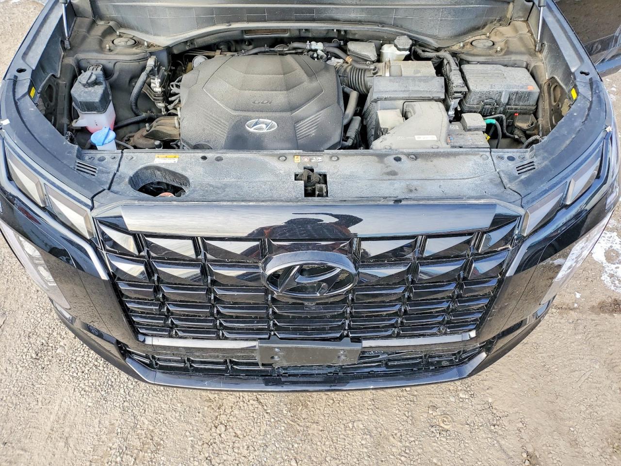 2025 Hyundai Palisade Limited - zdjęcie 11