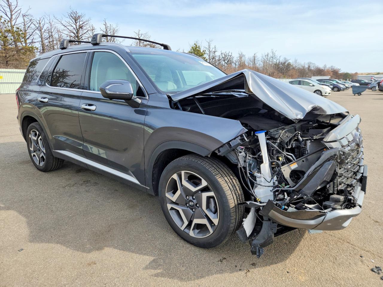 2024 Hyundai Palisade Sel - zdjęcie 4