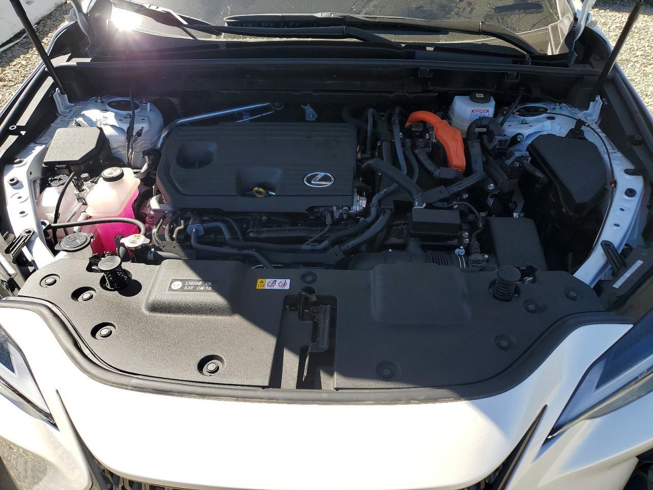 2024 Lexus Nx 350H Premium - zdjęcie 12