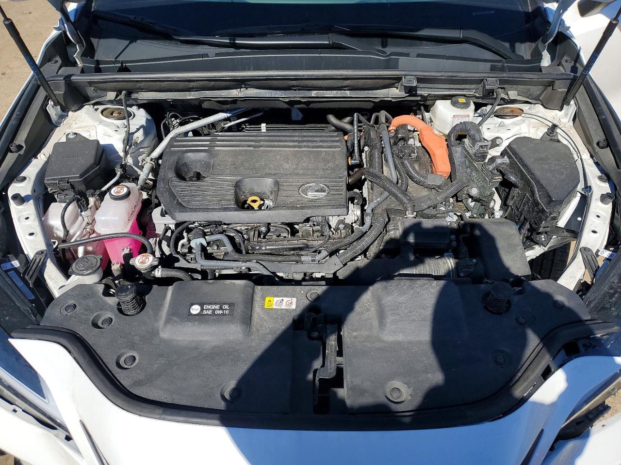 2025 Lexus Nx 350H Premium - zdjęcie 12