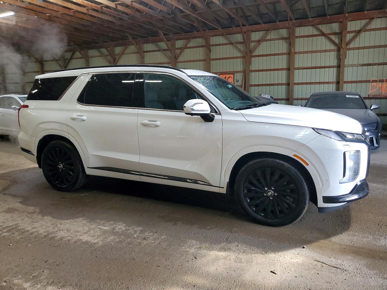 2025 Hyundai Palisade Calligraphy Night Edition - zdjęcie 4