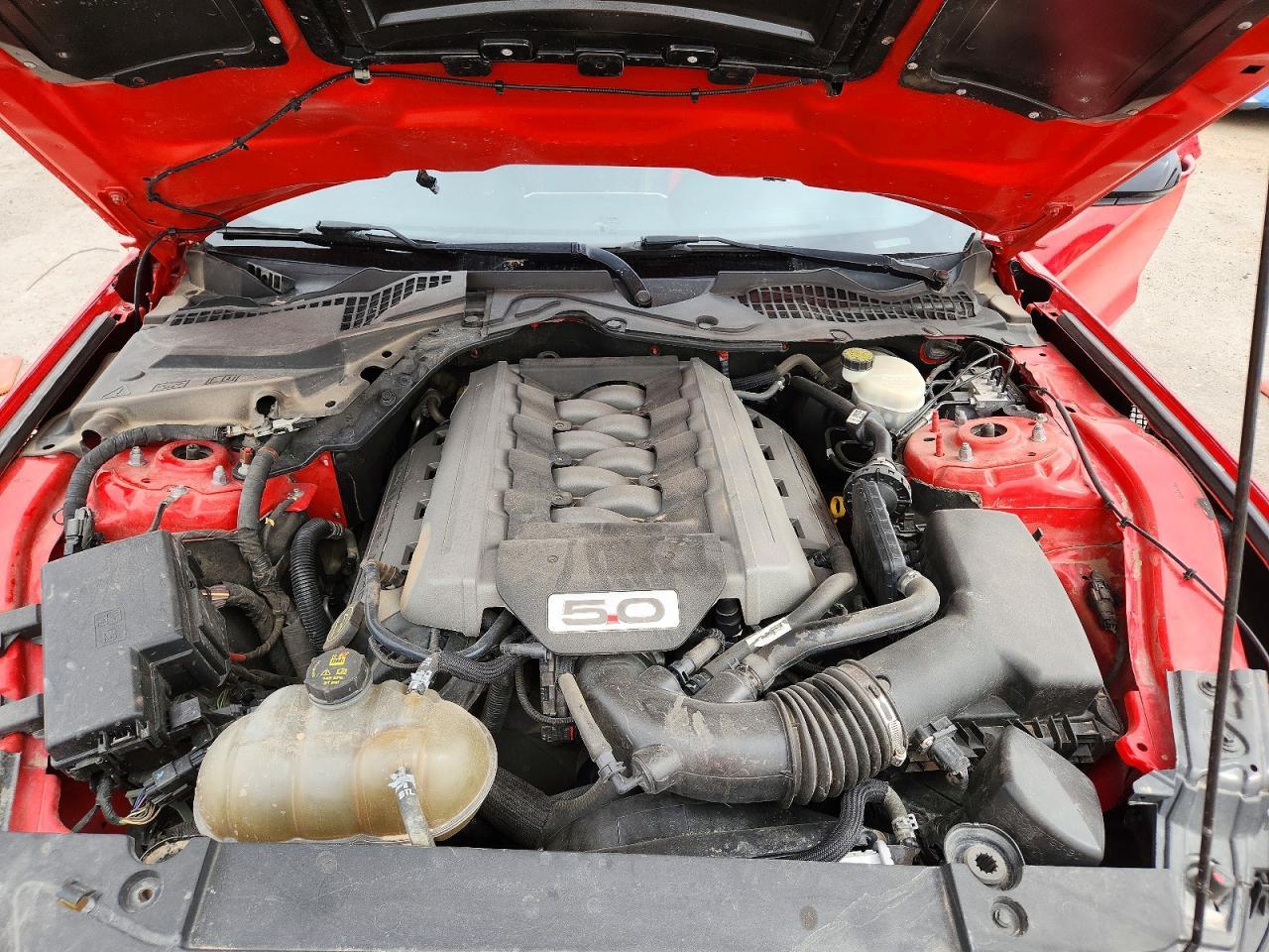 2016 Ford Mustang Gt - zdjęcie 11