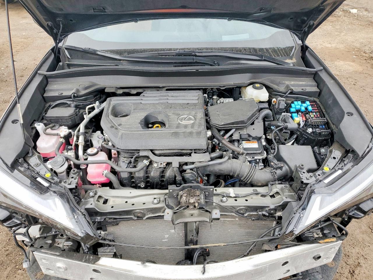 2025 Lexus Ux 300H Base - zdjęcie 12