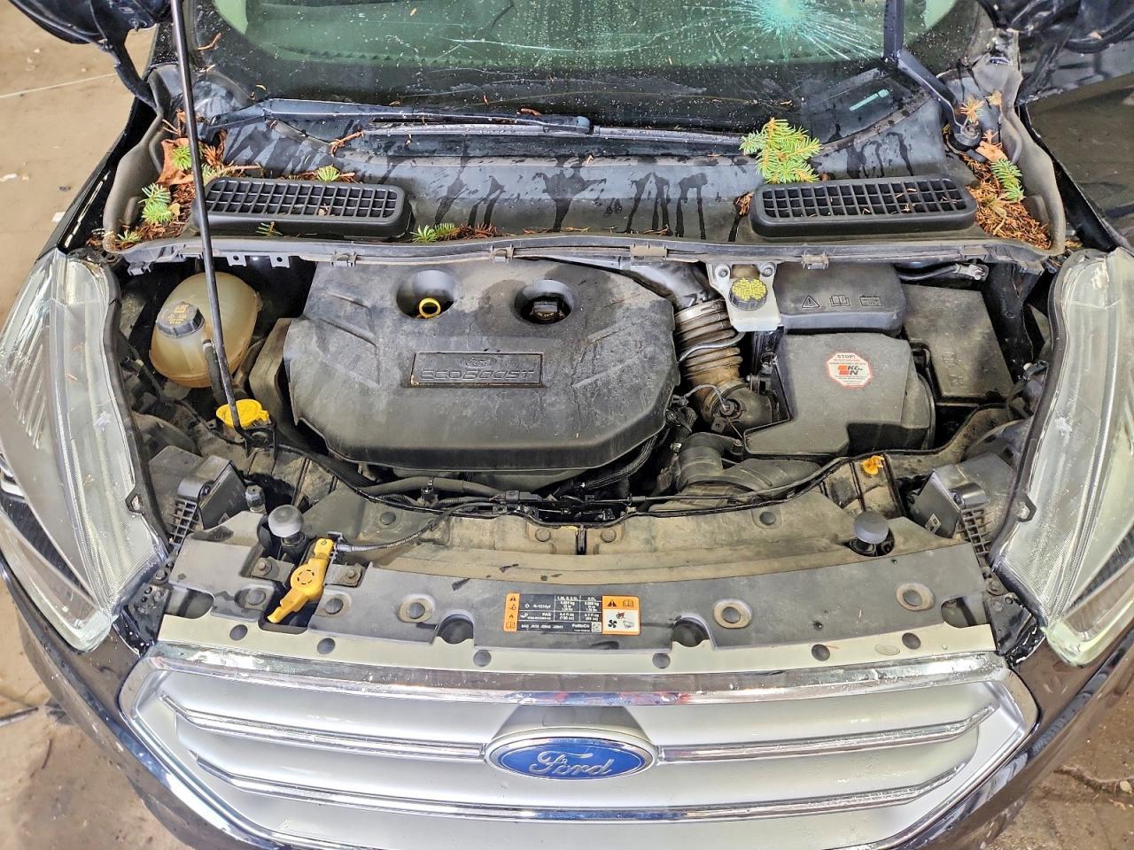 2017 Ford Escape Titanium - zdjęcie 11